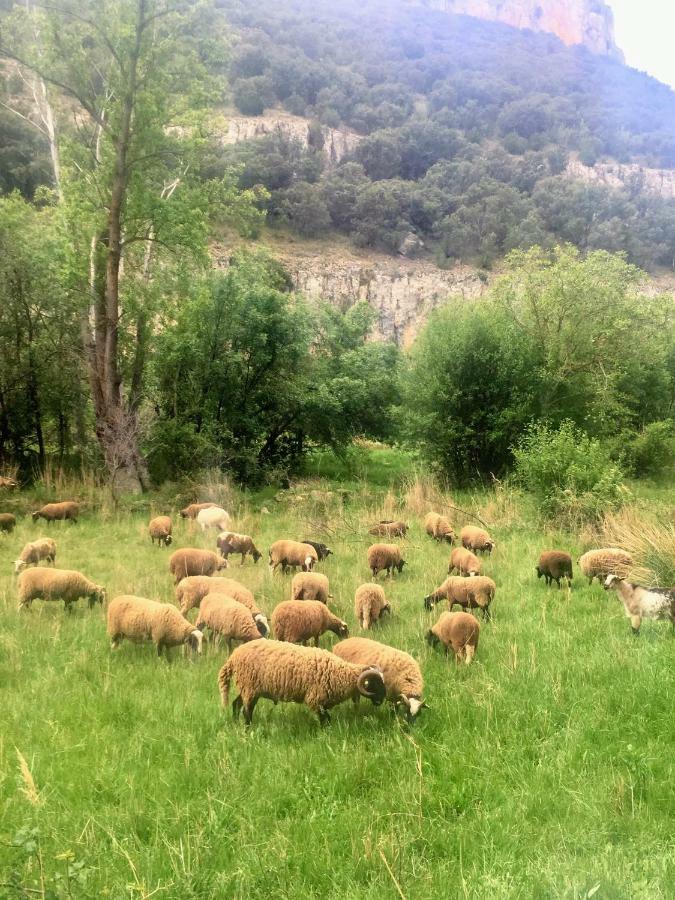 Apartamento Rural La Cascada De Calmarza Экстерьер фото