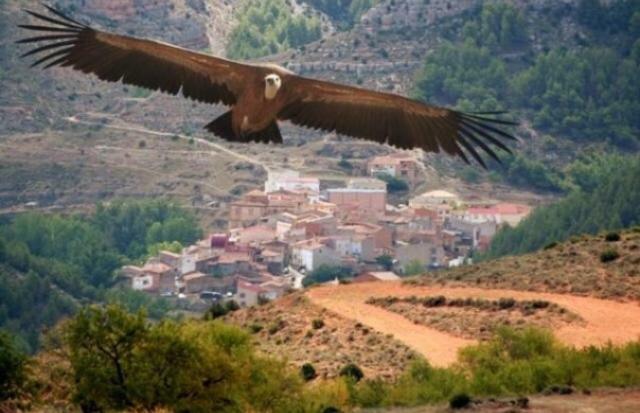 Apartamento Rural La Cascada De Calmarza Экстерьер фото