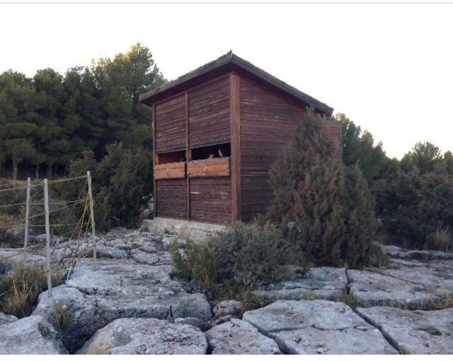 Apartamento Rural La Cascada De Calmarza Экстерьер фото
